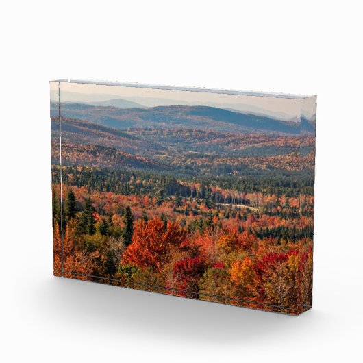 Weißer Wald | New Hampshire Fotoblock (Rechts)
