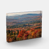 Weißer Wald | New Hampshire Fotoblock (Links)