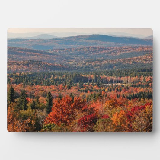 Weißer Wald | New Hampshire Fotoplatte (Vorderseite)