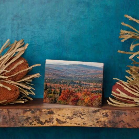 Weißer Wald | New Hampshire Fotoplatte (Seite)