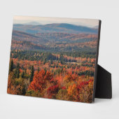 Weißer Wald | New Hampshire Fotoplatte (Seite)