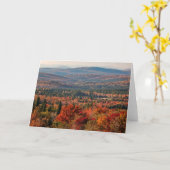 Weißer Wald | New Hampshire Karte (Gelbe Blume)