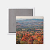 Weißer Wald | New Hampshire Magnet (Vorderseite/Rückseite)