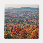 Weißer Wald | New Hampshire Magnet (Vorne)