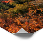 Weißer Wald | New Hampshire Poster (Ecke)