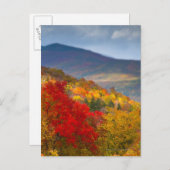 Weißer Wald Postkarte (Vorne/Hinten)