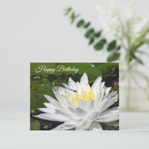 Weißer Wasserlilie, Blaue Libelle Geburtstag Postkarte