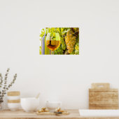 Weißer Wein und Trauben Poster (Küche)