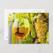 Weißer Wein und Trauben Postkarte (Vorne/Hinten)