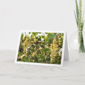 Weißer Weintraub auf Zaun Karte (Vorderseite)