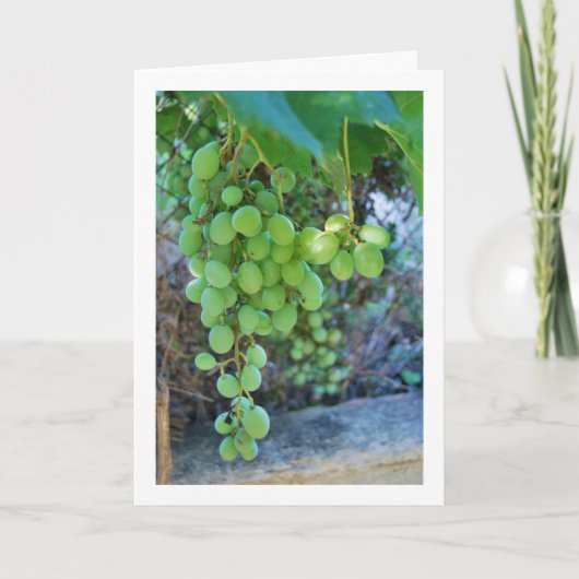 Weißer Weintraub Portrait Karte (Vorderseite)