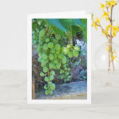 Weißer Weintraub Portrait Karte (Gelbe Blume)