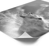 WEISSER WEISSER WALD FOTODRUCK (Ecke)