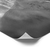 WEISSER WEISSER WALD POSTER (Ecke)