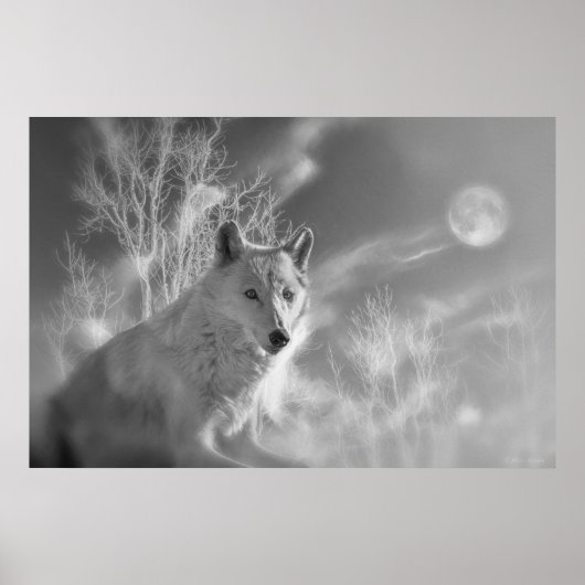 WEISSER WEISSER WALD POSTER (Vorne)