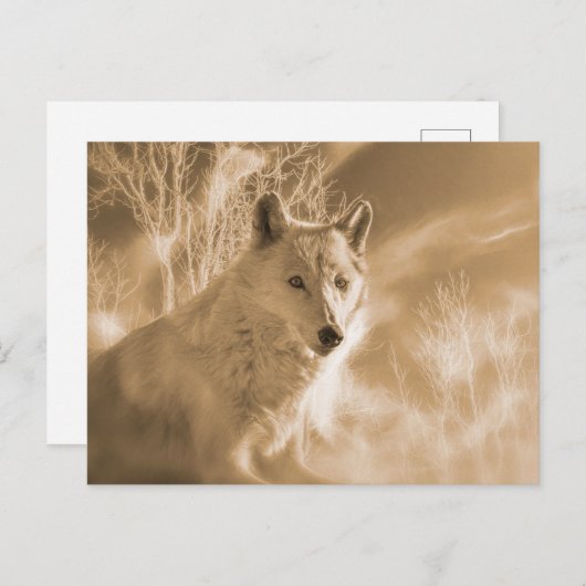 WEISSER WEISSER WALD POSTKARTE (Vorne/Hinten)