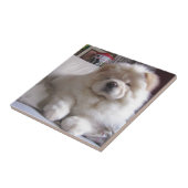 Weißer Windbeutel-Chow-Chow-Welpe Fliese (Seite)