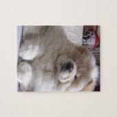 Weißer Windbeutel-Chow-Chow-Welpe Puzzle (Horizontal)