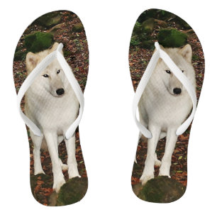 Weißer Wolf Badesandalen