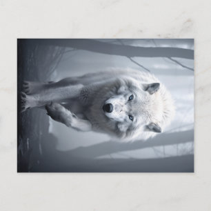 Weißer Wolf im Foggy Forest Postkarte