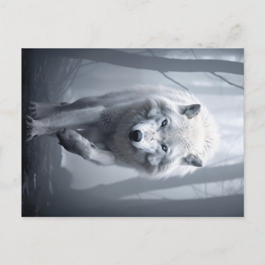 Weißer Wolf im Foggy Forest Postkarte (Vorderseite)