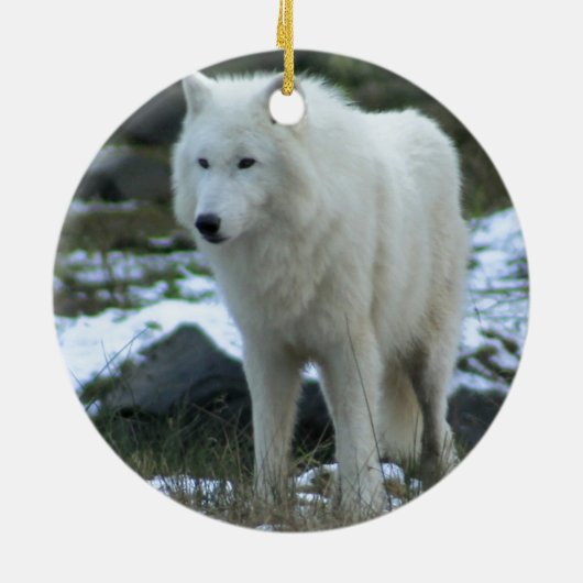 Weißer Wolf im Winter Keramik Ornament (Hinten)