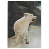 Weißer Wolf Klemmbrett (Rückseite)