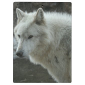 Weißer Wolf Klemmbrett (Rückseite)