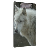 Weißer Wolf Klemmbrett (Rechts)