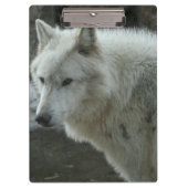 Weißer Wolf Klemmbrett (Vorderseite)