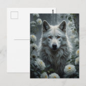 Weißer Wolf Postkarte (Vorne/Hinten)