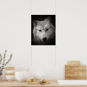 Weißer Wolf Schwarzes Weißes Foto Poster (Küche)