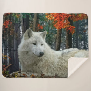 WEISSER WOLF SHERPADECKE