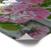 Weißer Zaun mit Rose Poster (Ecke)