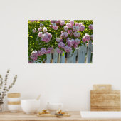 Weißer Zaun mit Rose Poster (Küche)