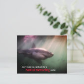 Weißer Zeigerhai unter Wasser Feiertagspostkarte (Stehend Vorderseite)