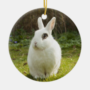 Weißer Zwerg Hotot Bunny Rabbit Keramik Ornament