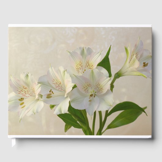 Weißes Alstromeria-Blume Gästebuch (Vorderseite)