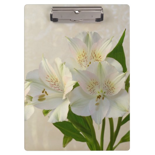 Weißes Alstromeria-Blume Klemmbrett (Vorderseite)