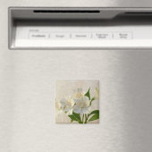 Weißes Alstromeria-Blume Magnet (In Situ (Geschirrspüler))