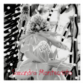 Weißes Ananas und Erdbeeren Glossy Poster (Vorderseite)