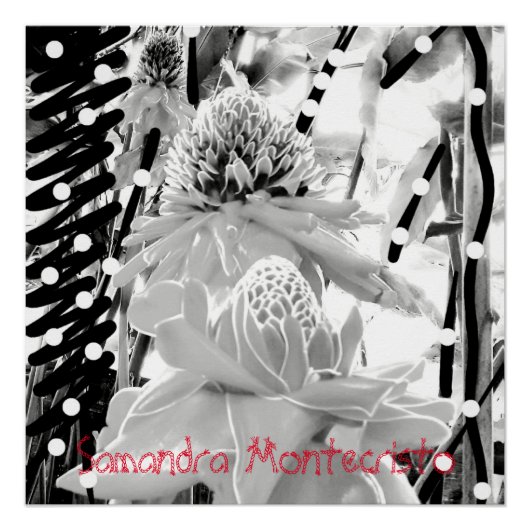 Weißes Ananas und Erdbeeren Glossy Poster (Vorderseite)