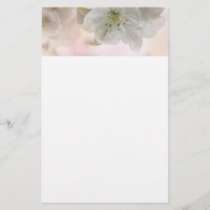 Weißes Apfelblütenfoto Briefpapier