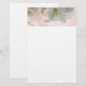 Weißes Apfelblütenfoto Briefpapier (Vorne/Hinten)