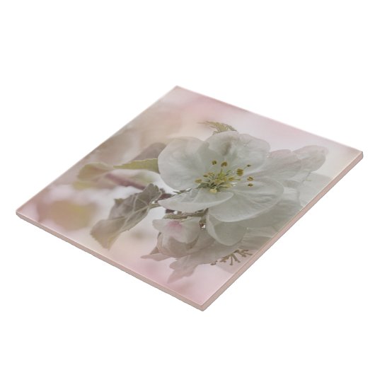 Weißes Apfelblütenfoto Fliese (Seite)