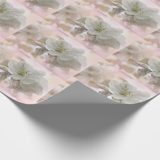 Weißes Apfelblütenfoto Geschenkpapier (Ecke)