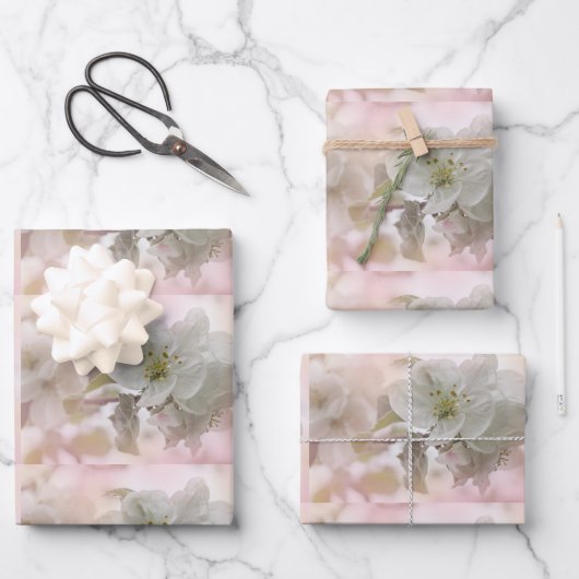 Weißes Apfelblütenfoto Geschenkpapier Set (Vorderseite)