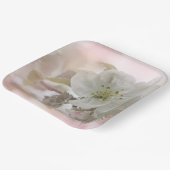 Weißes Apfelblütenfoto Pappteller (Gewinkelt)