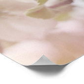 Weißes Apfelblütenfoto Poster (Ecke)