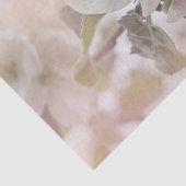 Weißes Apfelblütenfoto Seidenpapier (Ausschnitt)